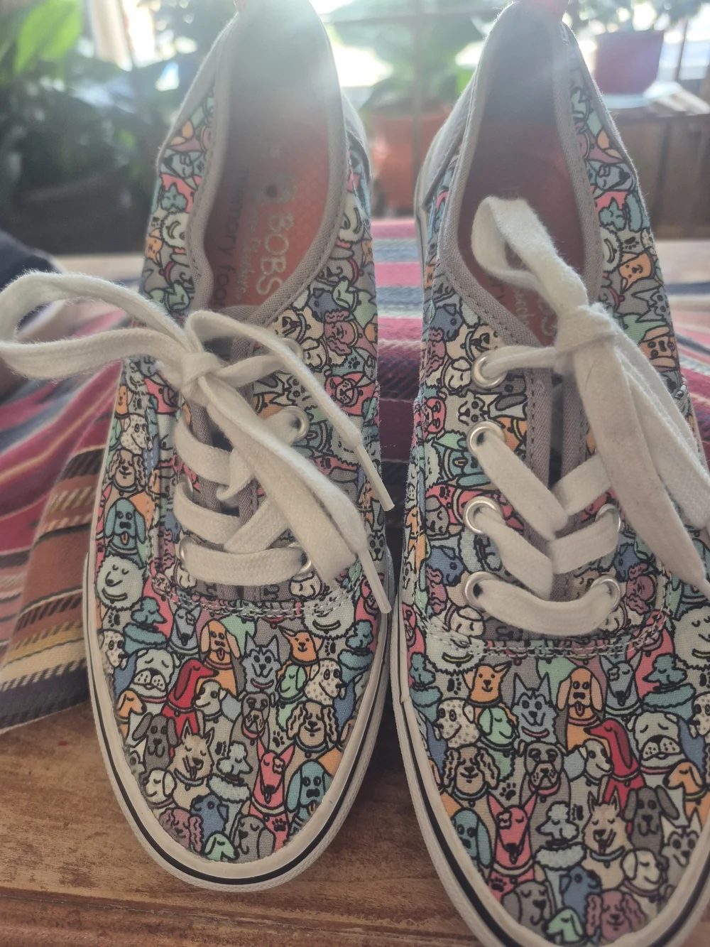 BOBS from Skechers canvas lace